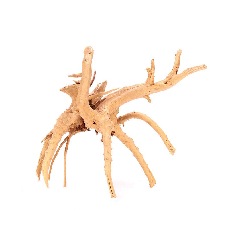 4 قطع من ديكورات أحواض السمك ا - مراجعة Aquarium Plant Root Tabs وسعره