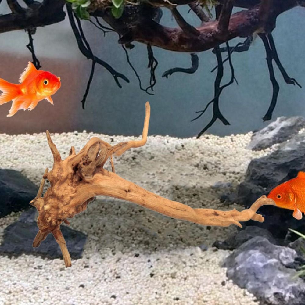 خشب عائم طبيعي كبير لحوض السمك - مراجعة Planted Aquarium Bowl وسعره