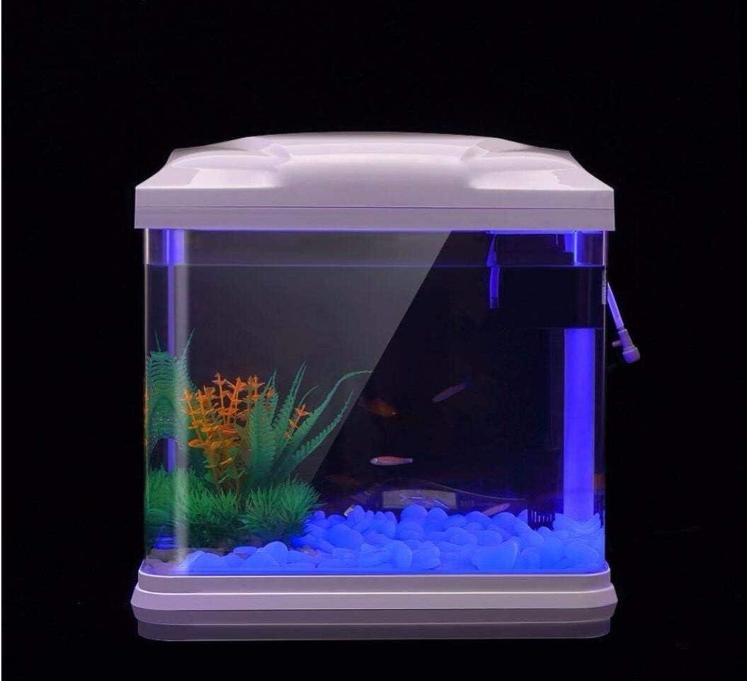 حوض السمك الصخور توهج الحصى ال - مراجعة Planted Aquarium Equipment وسعره