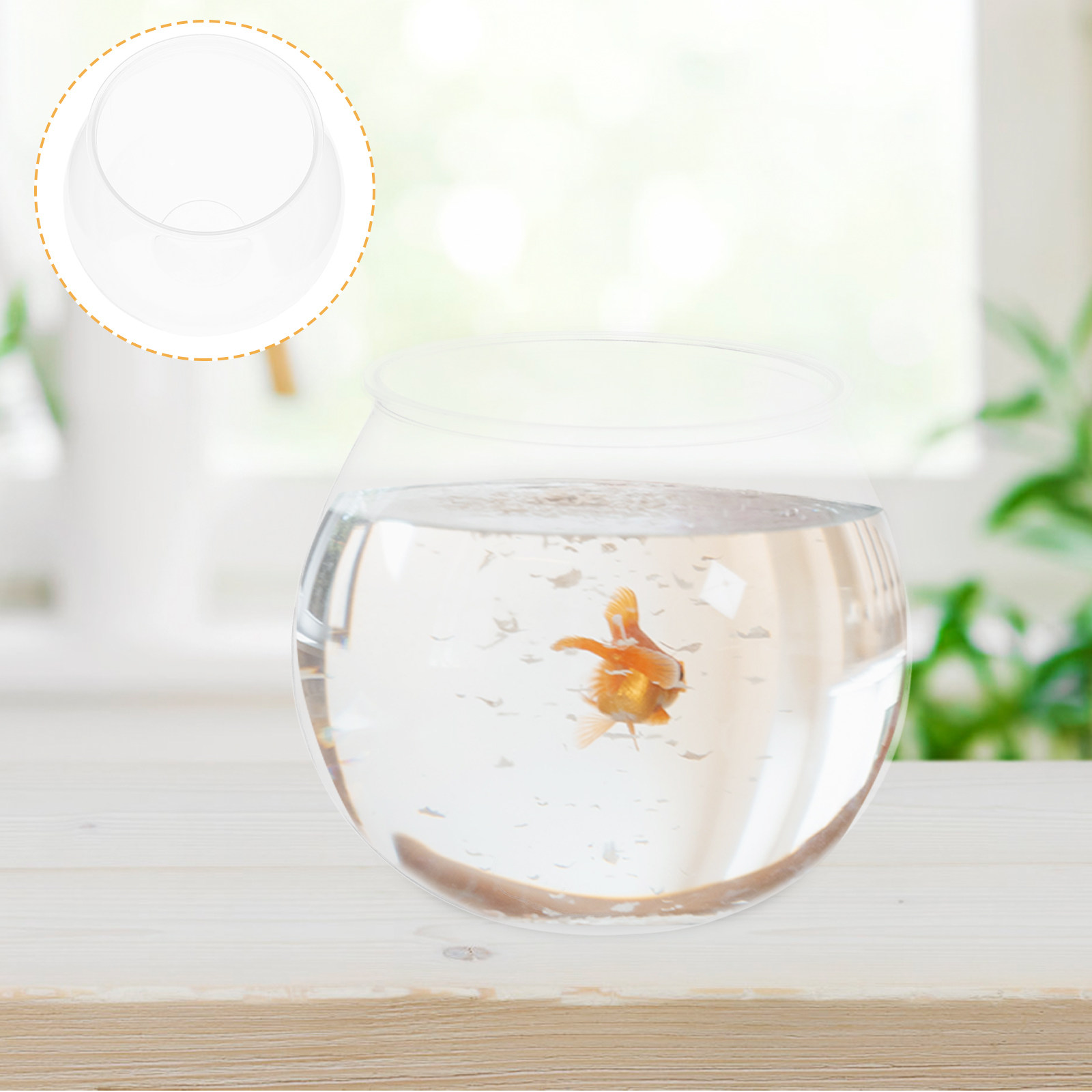 4 قطع من أحواض السمك البلاستيك - مراجعة Planted Aquarium Bowl وسعره