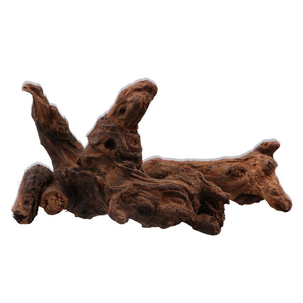 جذور شجرة الأناناس الطبيعية ال - مراجعة Aquarium Plant Root Tabs وسعره