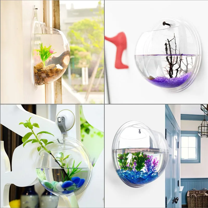 وعاء أكريليك معلق على الحائط ل - مراجعة Planted Aquarium Bowl وسعره