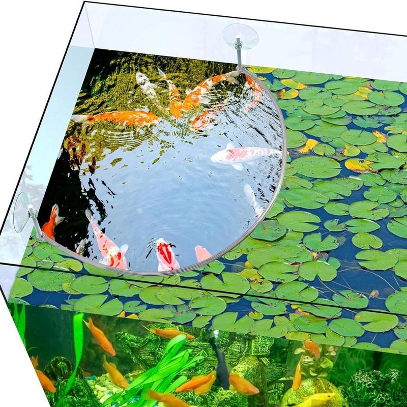 حلقة تغذية الأسماك المرجانية ل - مراجعة Planted Aquarium Equipment وسعره