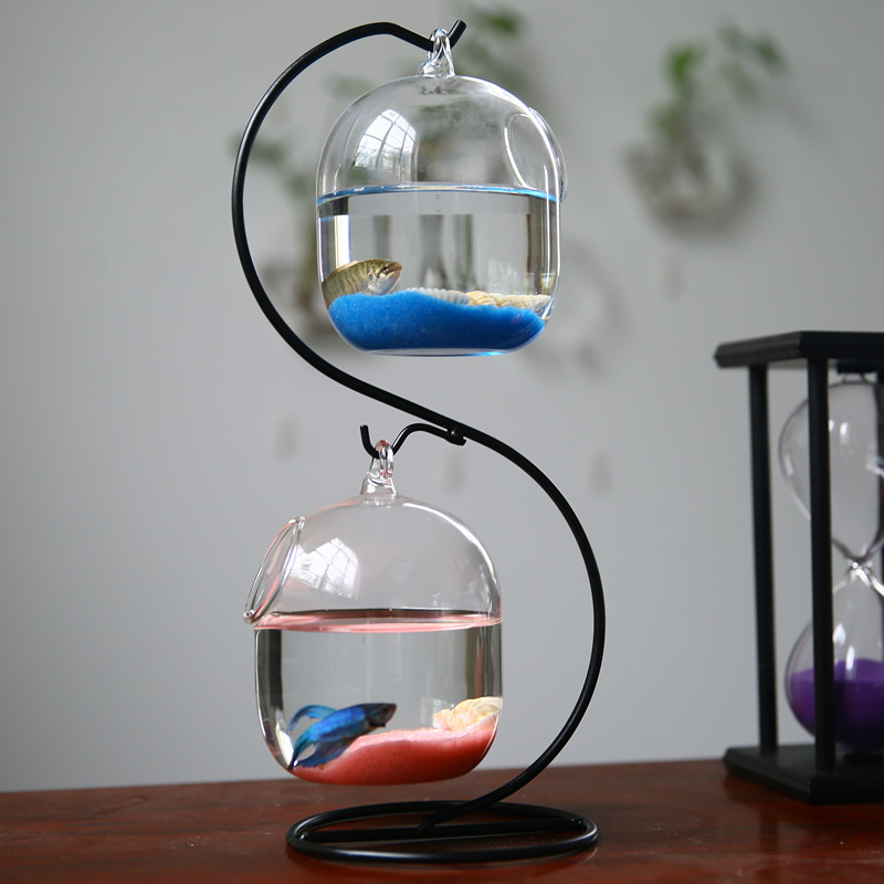 الإبداعية ذات الطابقين معلقة ش - مراجعة Planted Aquarium Bowl وسعره