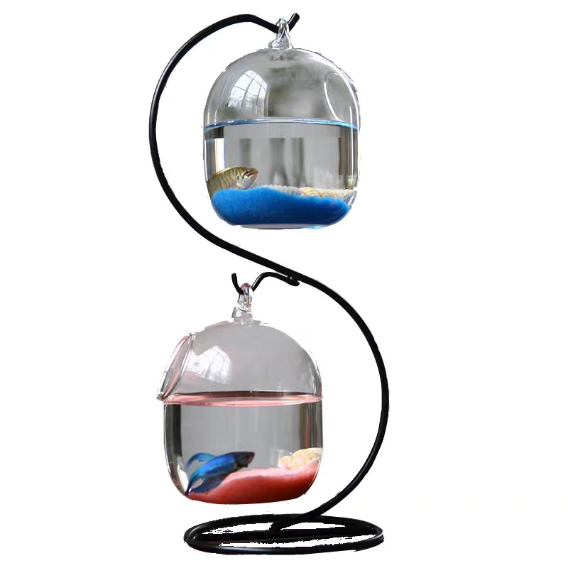 الإبداعية ذات الطابقين معلقة ش - مراجعة Planted Aquarium Bowl وسعره