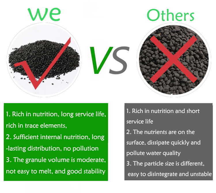 نباتات أحواض السمك ، التربة ،  - مراجعة Planted Aquarium Fertilizer وسعره