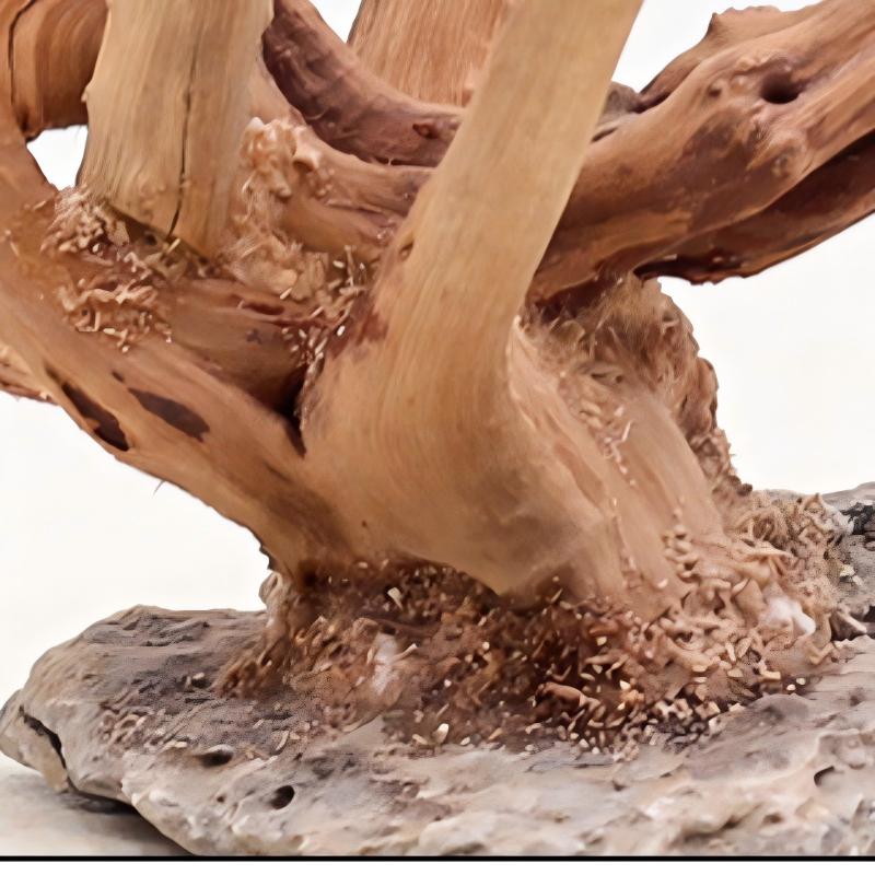 1 قطعة حوض السمك المناظر الطبي - مراجعة Aquarium Plant Root Tabs وسعره