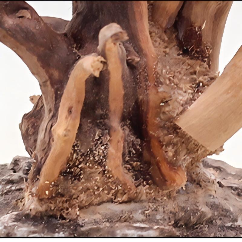 1 قطعة حوض السمك المناظر الطبي - مراجعة Aquarium Plant Root Tabs وسعره