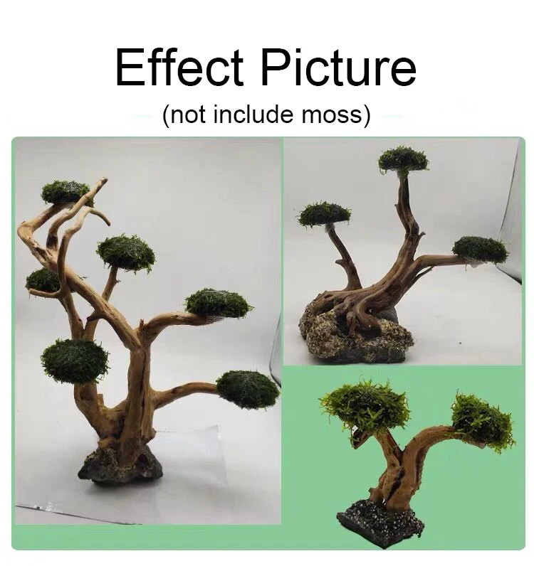 حوض السمك Driftwood المناظر ال - مراجعة Aquarium Plant Root Tabs وسعره