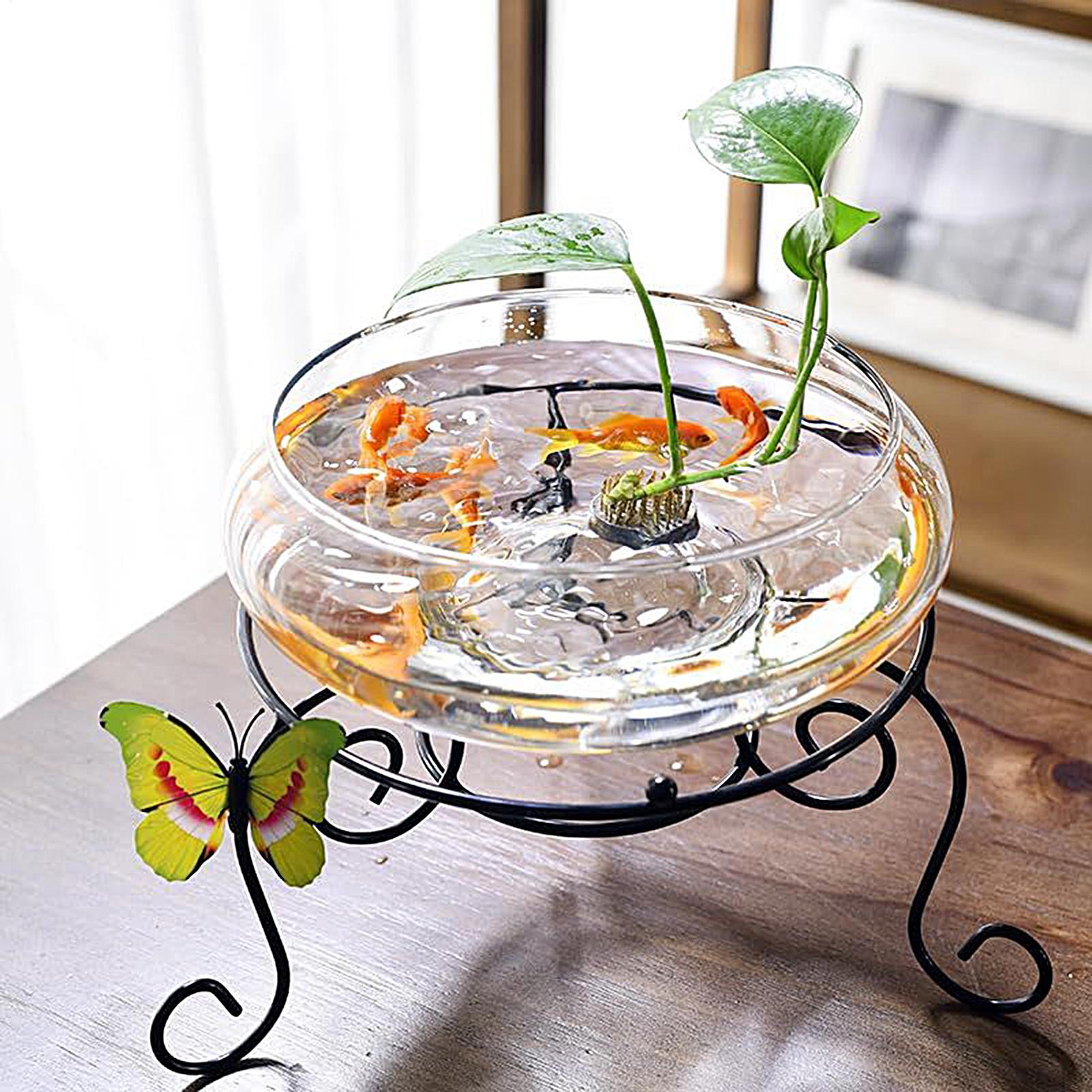 وعاء زجاجي كبير للأسماك، وعاء  - مراجعة Planted Aquarium Bowl وسعره