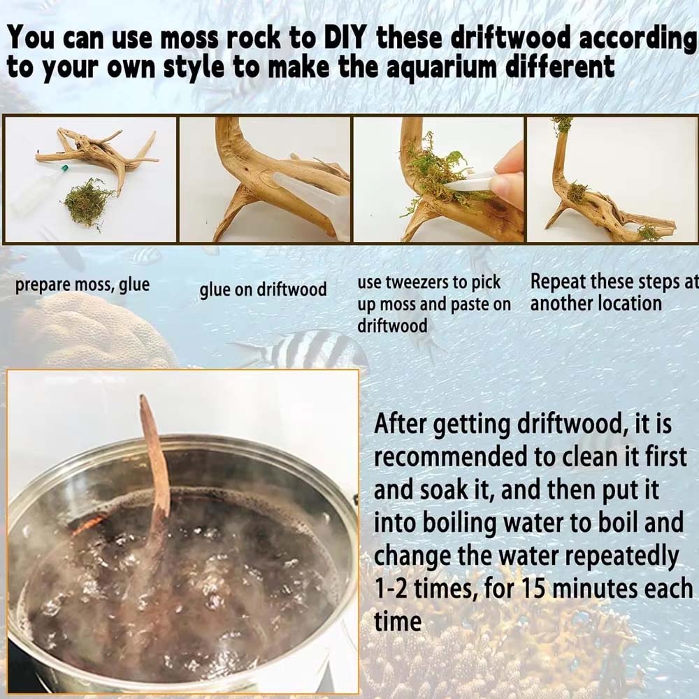قطعة واحدة من الخشب الطافي الط - مراجعة Aquarium Plant Root Tabs وسعره