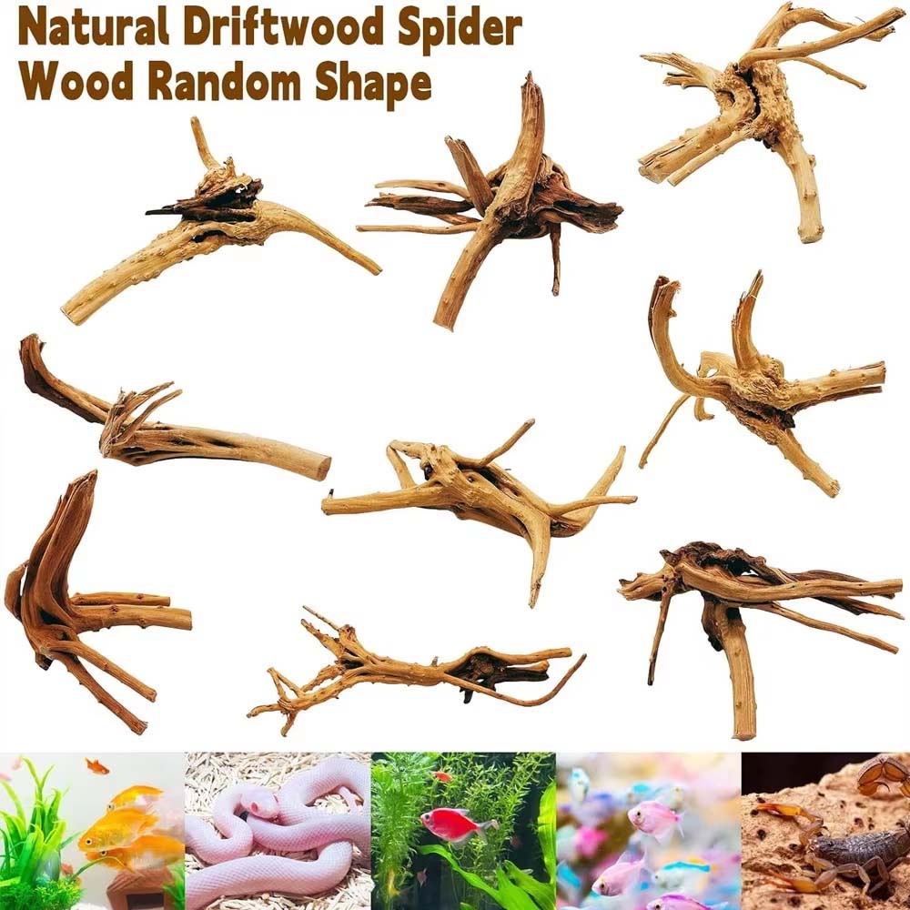قطعة واحدة من الخشب الطافي الط - مراجعة Aquarium Plant Root Tabs وسعره