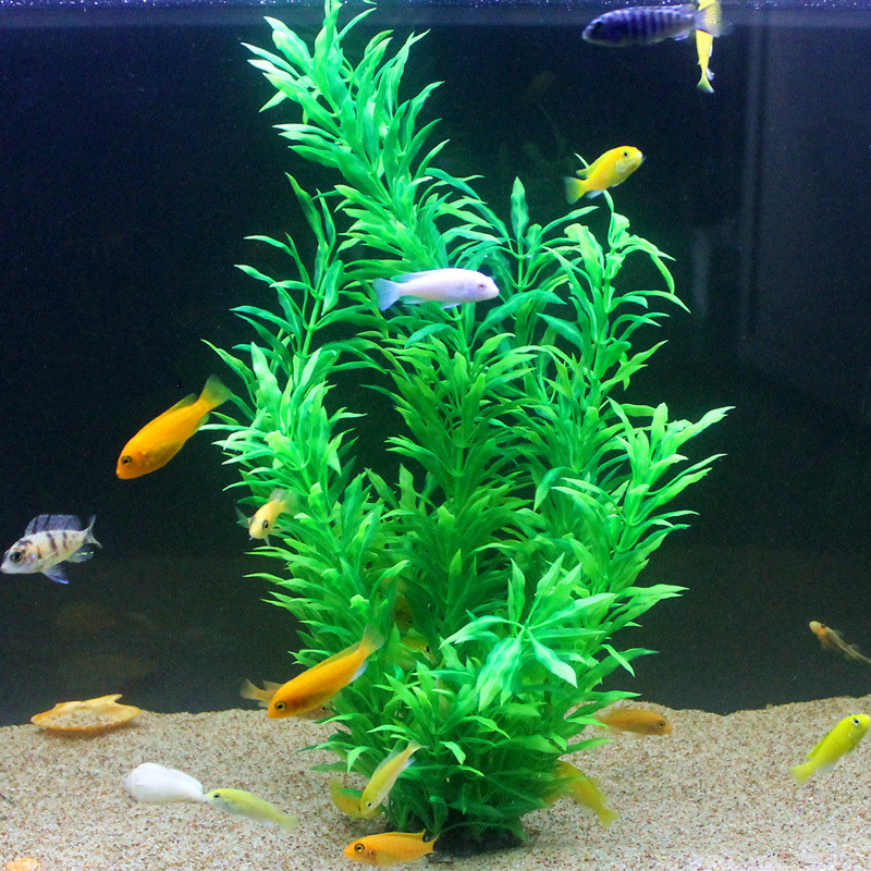 نباتات اصطناعية نادرة لأحواض ا - مراجعة Planted Aquarium Equipment وسعره