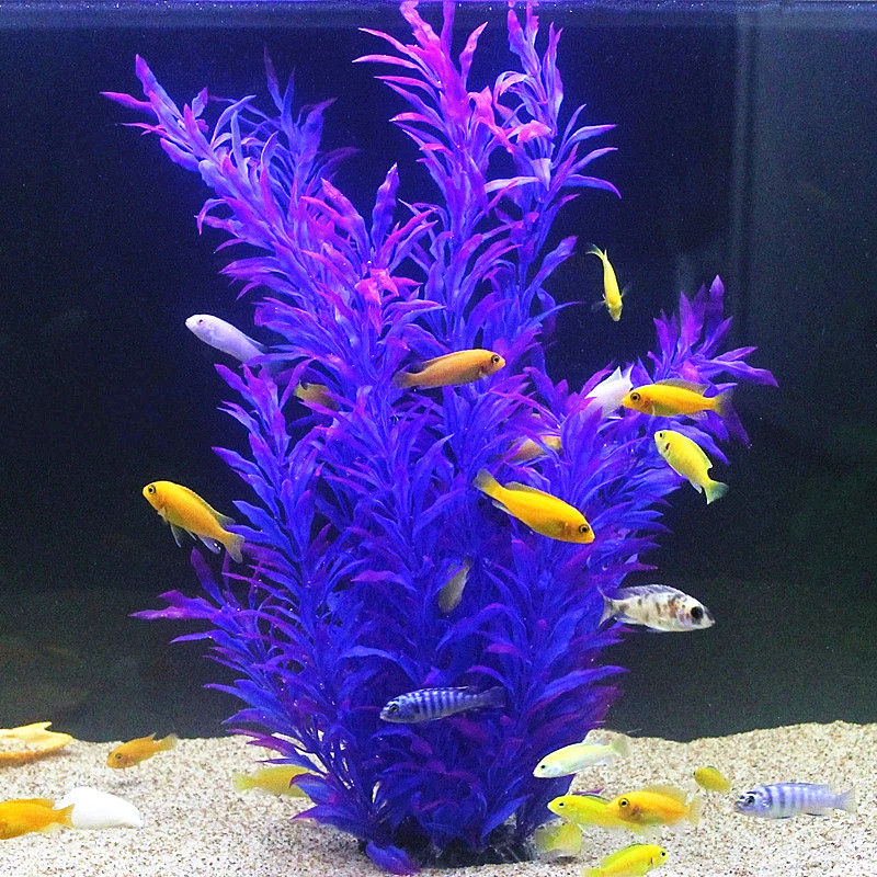 نباتات اصطناعية نادرة لأحواض ا - مراجعة Planted Aquarium Equipment وسعره