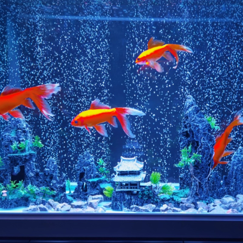 مجموعة زينة حجرية للأحواض الما - مراجعة Aquarium Plant Root Tabs وسعره