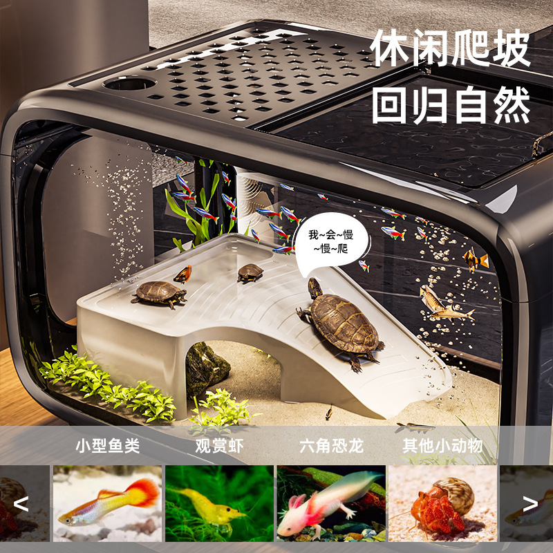 إكسسوارات حوض السمك، ديكورات أ - مراجعة Planted Aquarium Bowl وسعره