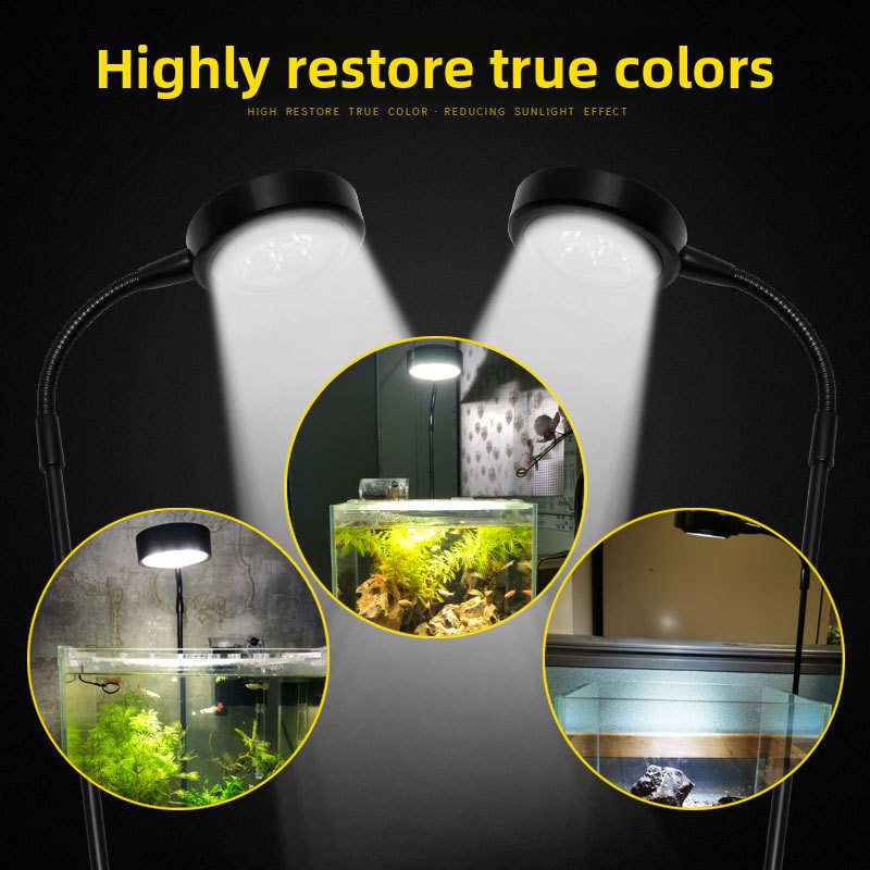 مصباح LED أبيض فائق للنباتات ا - مراجعة Aquarium Plant On Wood وسعره