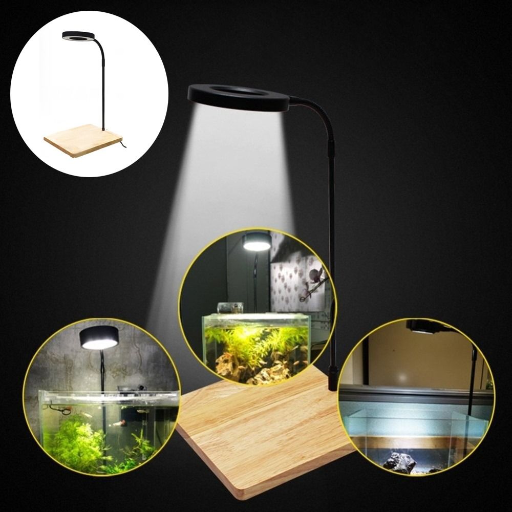 مصباح LED لحوض السمك بقوة 10 و - مراجعة Aquarium Plant On Wood وسعره