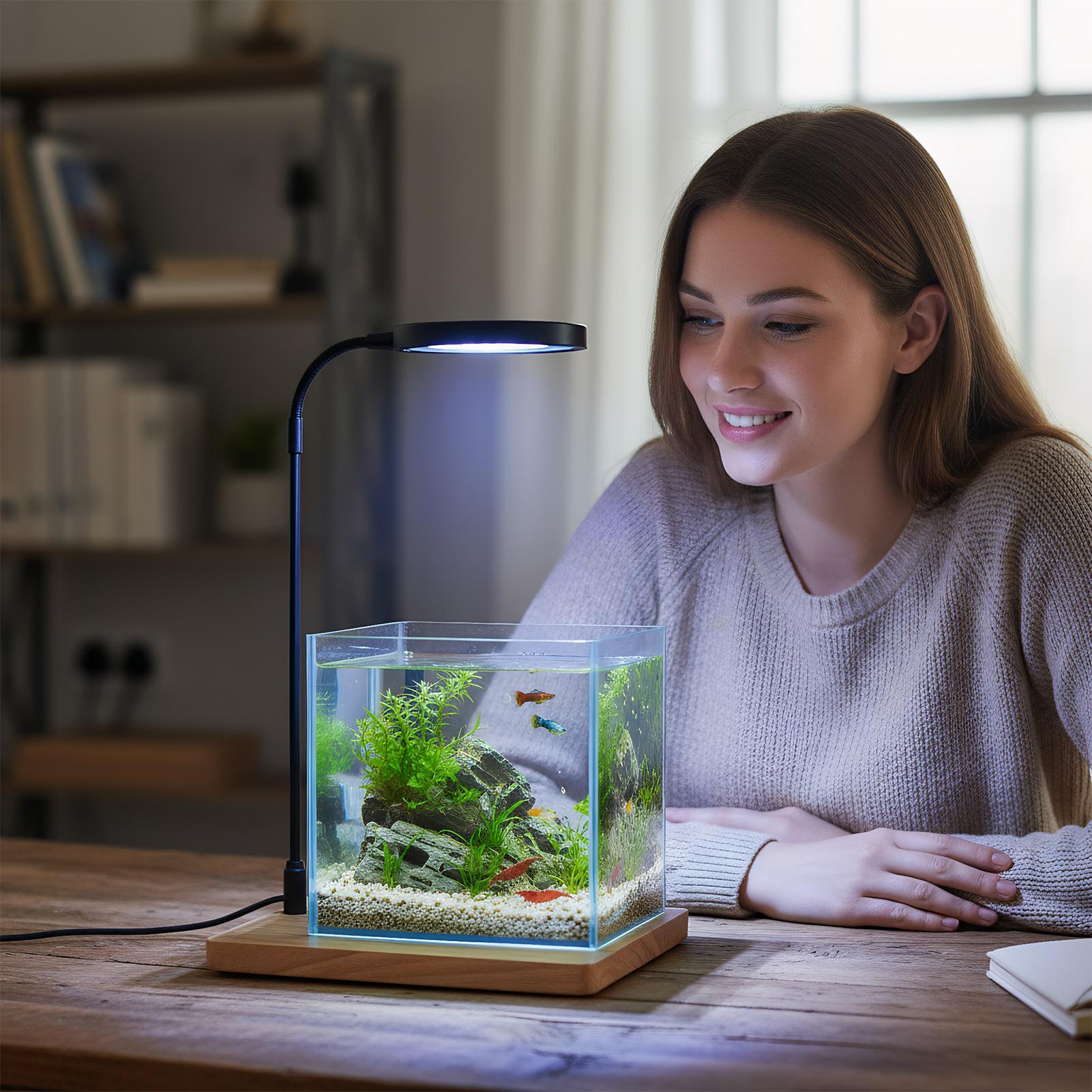 أضواء النباتات للنمو الداخلي م - مراجعة Aquarium Plant On Wood وسعره