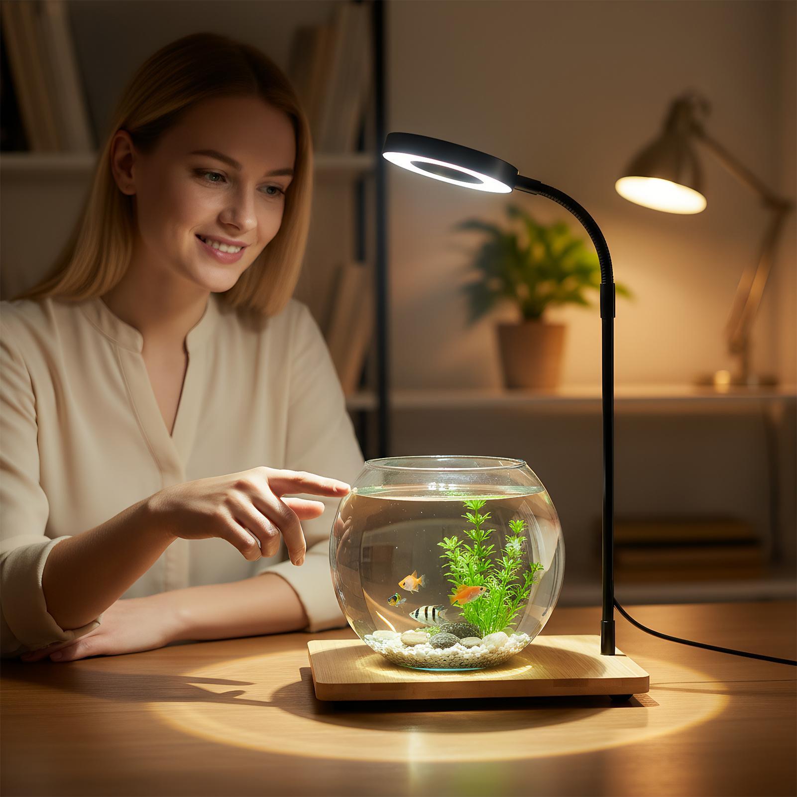 أضواء النباتات للنمو الداخلي م - مراجعة Aquarium Plant On Wood وسعره